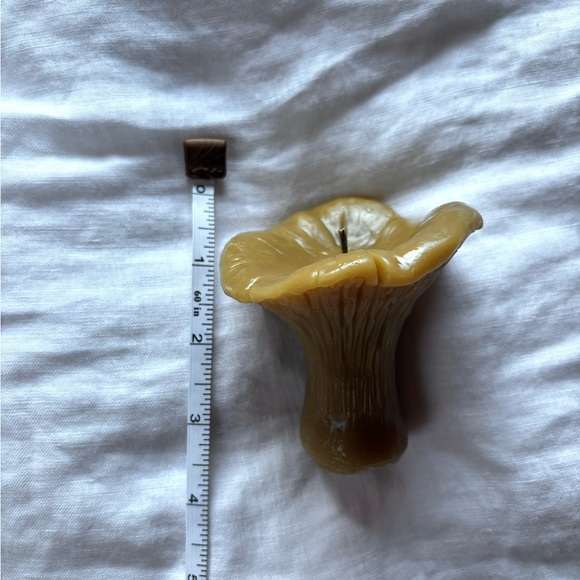 Homemade All-Natural Toxic Free 100% Beeswax Mushroom "Chanterelle" Candle - Picture 4 of 5